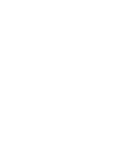 カテゴリー21