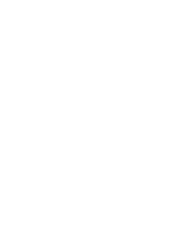 カテゴリー23