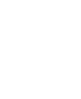 カテゴリー25